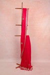 Pink Velvet Organza Saree