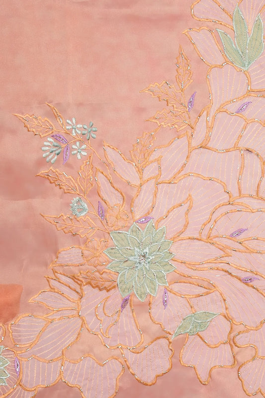 Peach Orange Glass Organza Saree