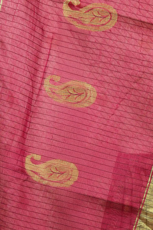 Chikku Color Kalayani Cotton Saree