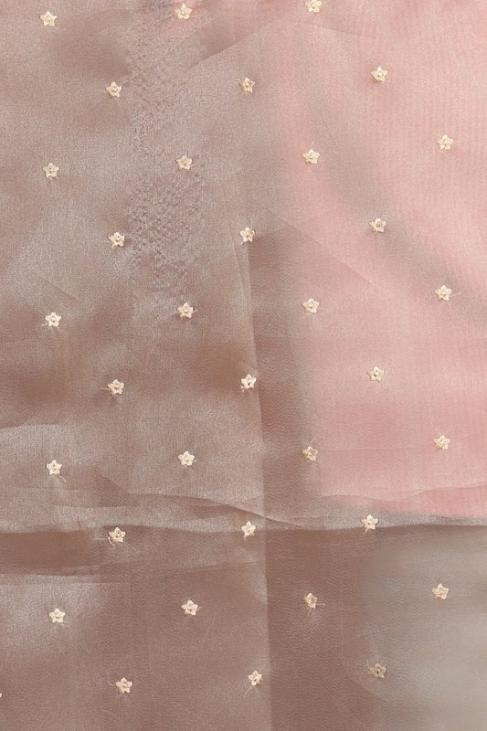 Light Grey Glass Organza Saree