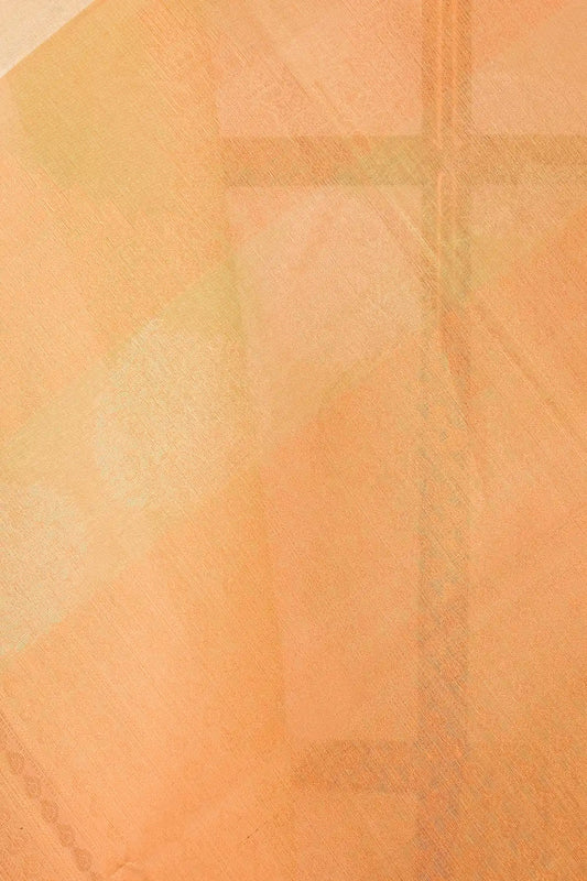Multi Color Cotton Saree
