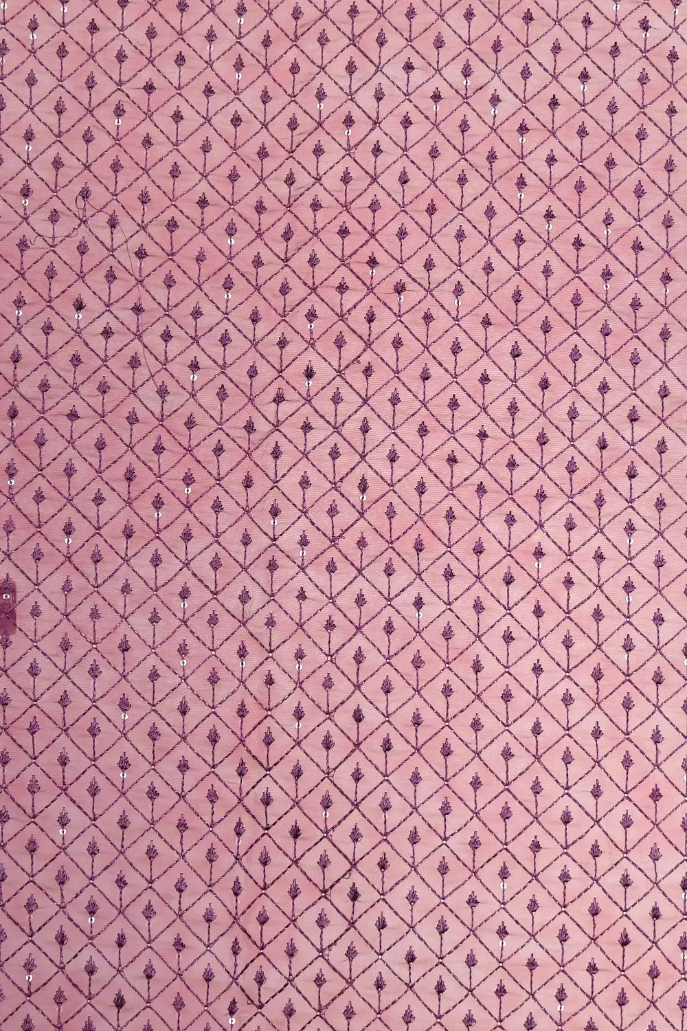 Wine Organza Saree