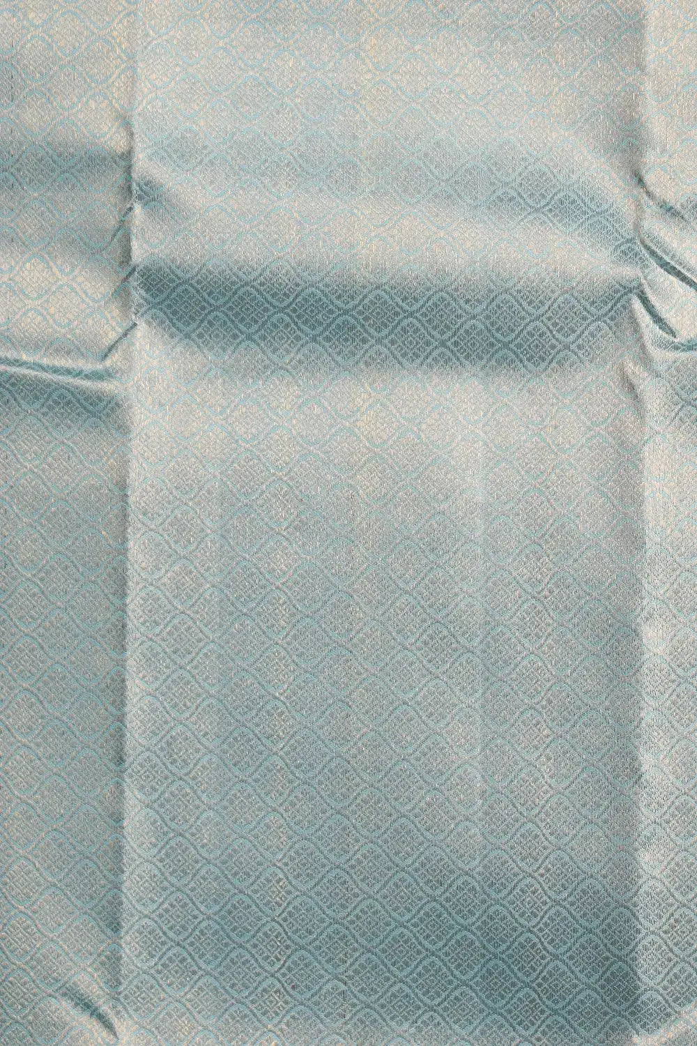 Powder Blue Kancheepuram Silk Saree
