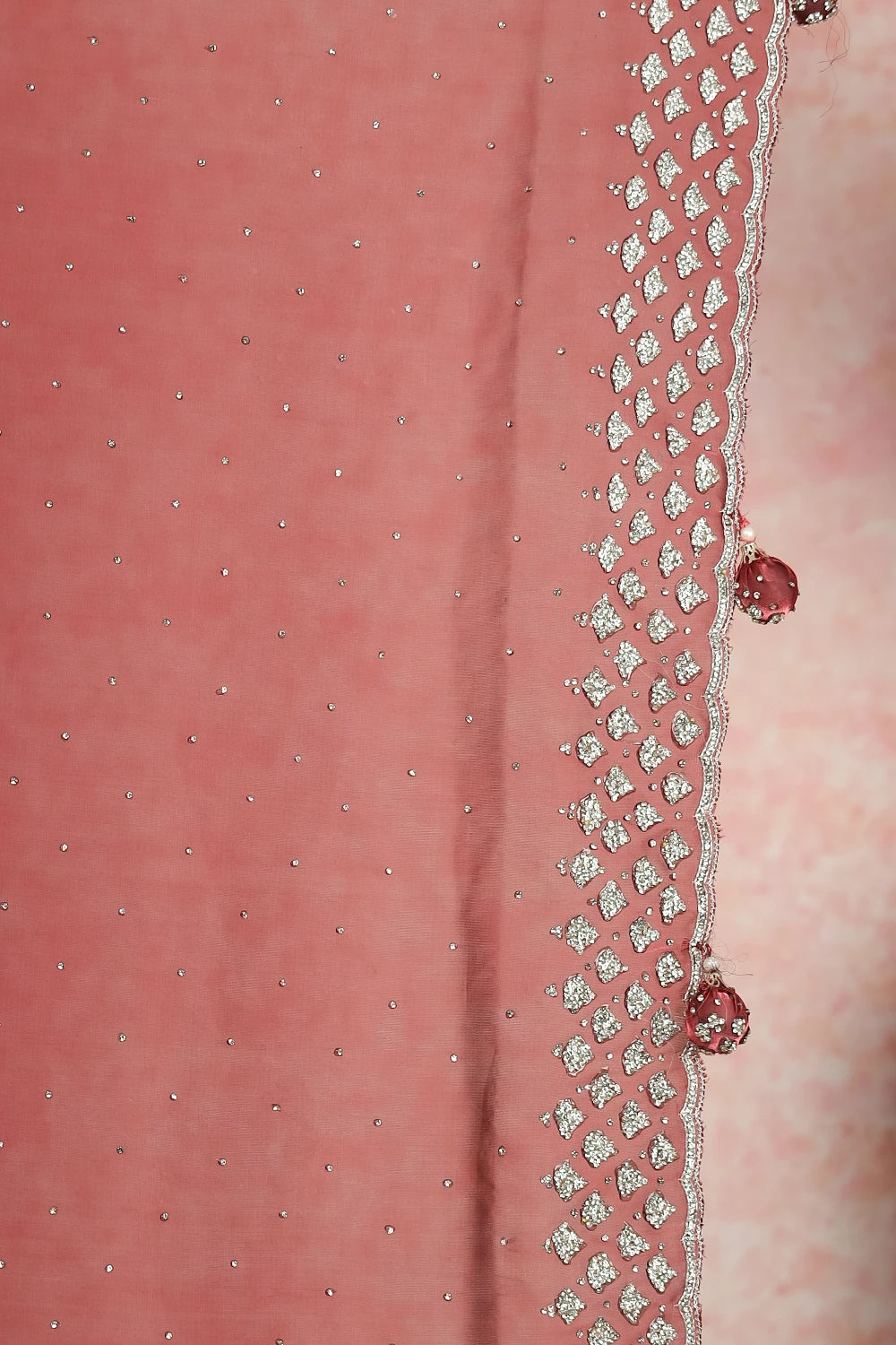 Brown Tissue Organza Saree