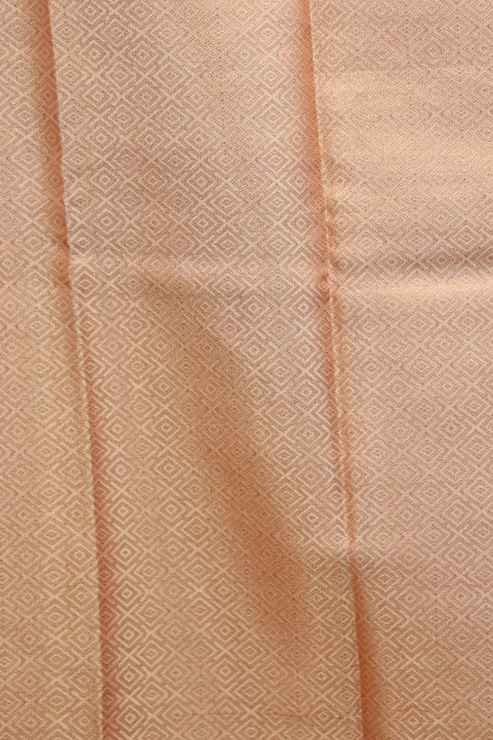 Semi tissue saree gold zari border fabric texture