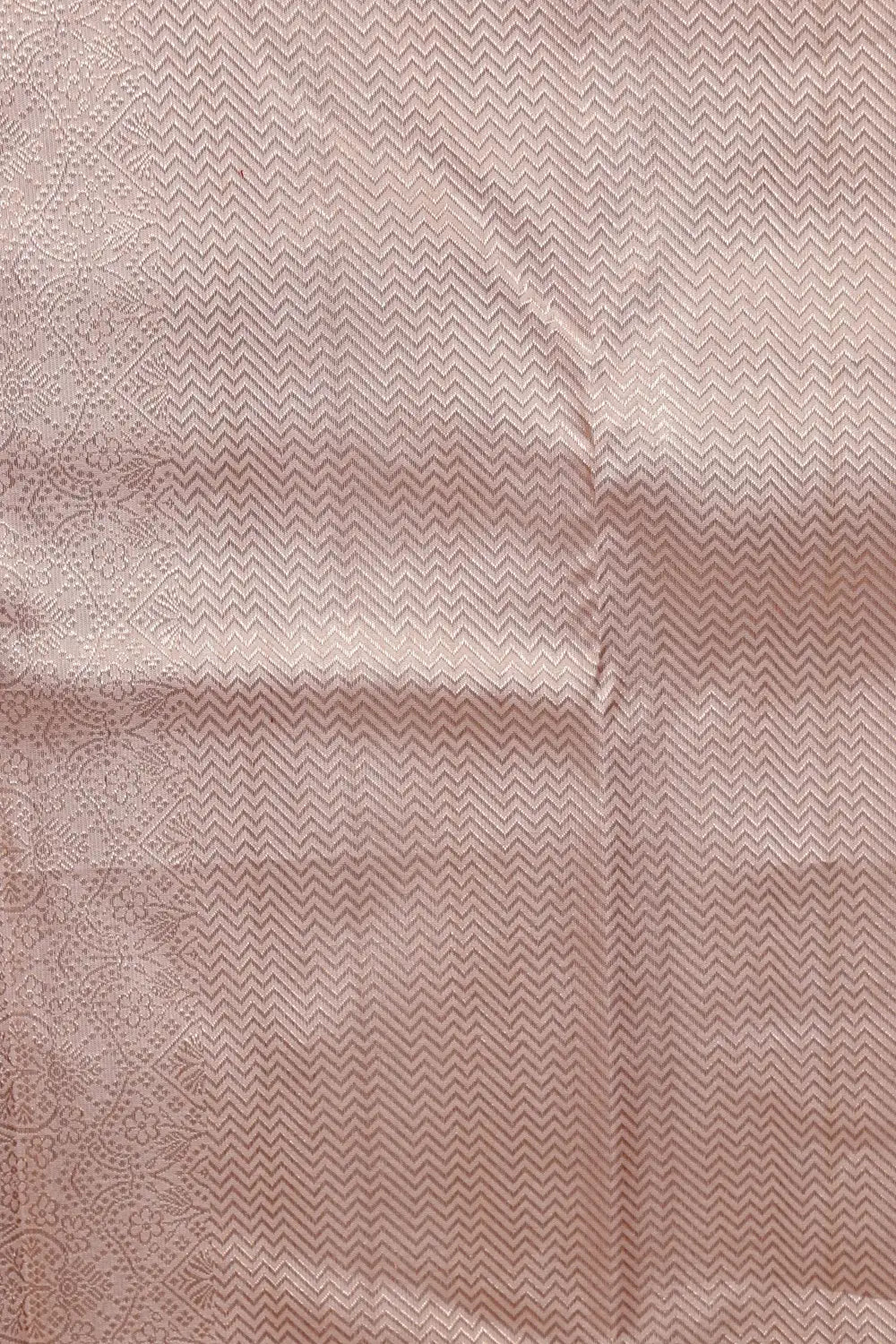 Pastel Kancheepuram Silk Saree