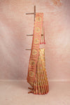 Multi Color Banarasi Georgette Saree