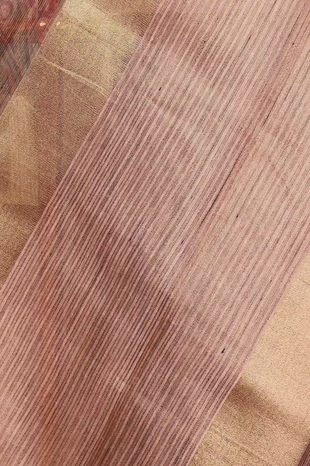 Multi Color Tissue Organza Saree