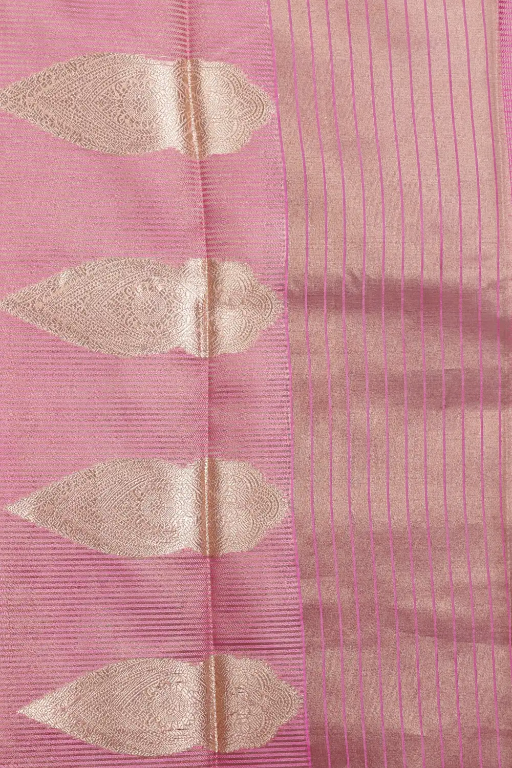 14355350 (1)_(2)