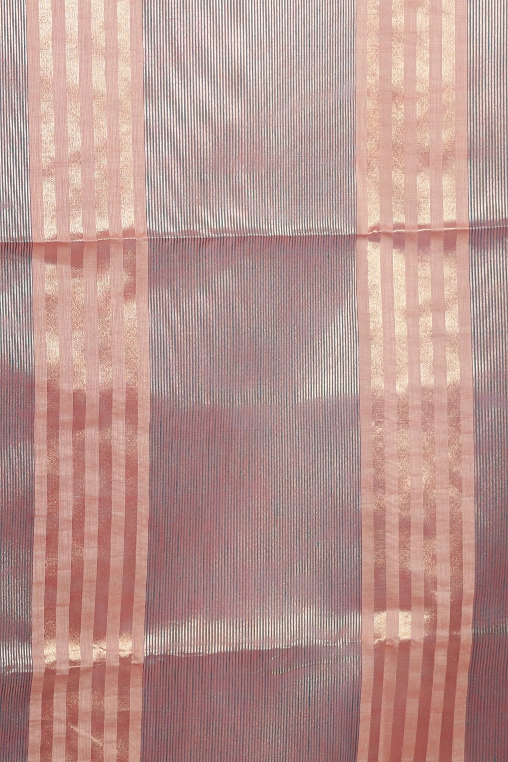 14356649 (2)