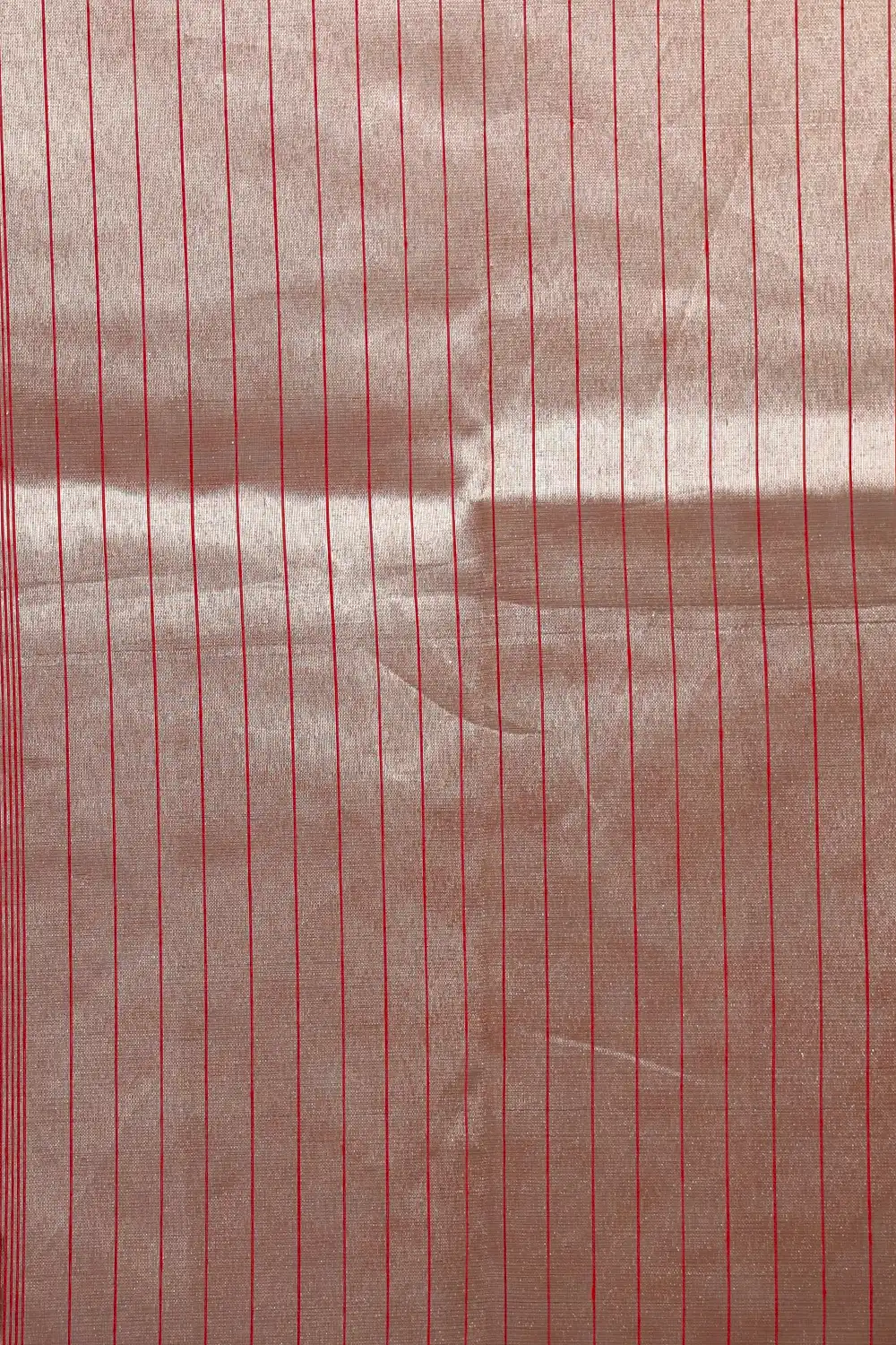 14356669 (1)
